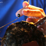 Culture de la perle de Tahiti