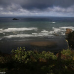 Muriwai