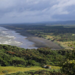 Muriwai