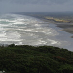 Muriwai