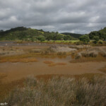 Lagune dans le parc régional Tawharanui
