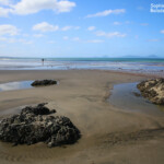 Waipu Beach