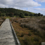 Lagune dans le parc régional Tawharanui