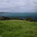 Panorama sur le parc de Tawharanui