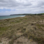Dunes dans le parc Tawharanui