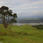 Côte vers la péninsule de Coromandel