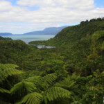 Lac Tarawera