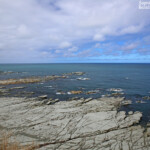 Sentier littoral à Kaikoura