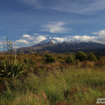 Arrivée dans le parc national du Tongariro dans la lumière du soir