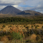 Arrivée dans le parc national du Tongariro dans la lumière du soir