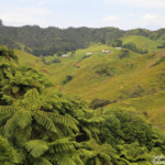 Forgotten world highway