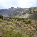Otira Valley