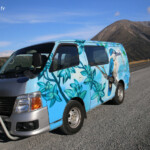 Sur la route d'Arthur's pass