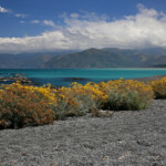 Dernier regard sur Kaikoura