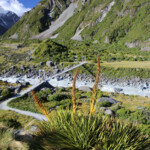 Hooker Valley track