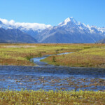 Prairies humides en bordure du lac Pukaki
