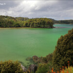 Balade sur Stewart Island