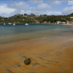 Le petit port de Stewart Island