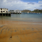 Le petit port de Stewart Island