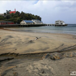 Le petit port de Stewart Island
