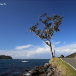 Balade sur Stewart Island