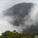 Brume sur le mont Humboldt