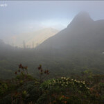 En route pour le sommet