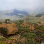 Depuis le sommet du Humboldt