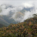 Depuis le sommet du Humboldt