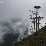 Depuis le sommet du Humboldt