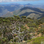 Depuis le sommet du Humboldt