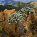 Depuis le sommet du Humboldt