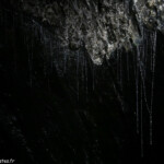 Glowworms dans les tunnels du Tartare