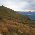 Début de la rando pour Roys Peak