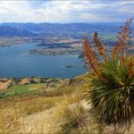 Roys Peak