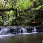 Purakaunui falls