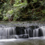 Purakaunui falls