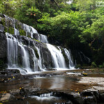 Purakaunui falls