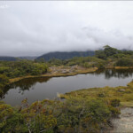 Tourbières sur le Key summit Track