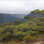 Vue sur le Marian Lake depuis le Key Summit Track