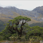 Paysages alpins sur le Key summit track