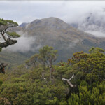 Paysages alpins sur le Key summit track