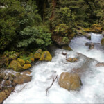 Cascades le long du Marian lake track
