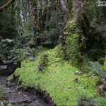 Suivez les marques !