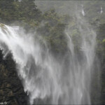 Les falaises du Fjordland sous la pluie
