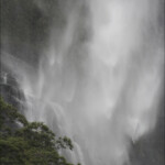 Les falaises du Fjordland sous la pluie