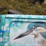 Kéa sur le parking de Homer Tunnel, route de Milford