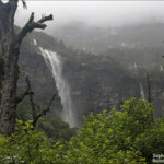 Les falaises du Fjordland sous la pluie