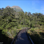 Balade matinale au bord du Sound