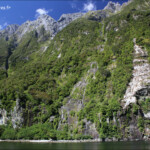 Croisière sur le Milford Sound